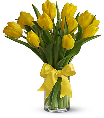 Sunny Yellow Tulips from Rees Flowers & Gifts in Gahanna, OH